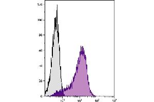 Chicken thymocytes were stained with Mouse Anti-Chicken MCAM-UNLB. (MCAM antibody)