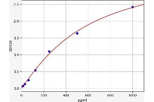 Cofilin 2 ELISA Kit