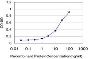 Detection limit for recombinant GST tagged USP10 is approximately 0. (USP10 antibody  (AA 699-797))