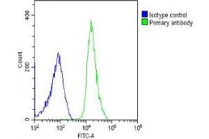 Overlay histogram showing U-2OS cells stained with C (green line). (HRPT2 antibody  (AA 132-161))