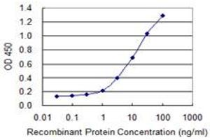 Detection limit for recombinant GST tagged CNOT8 is 0. (CNOT8 antibody  (AA 201-292))