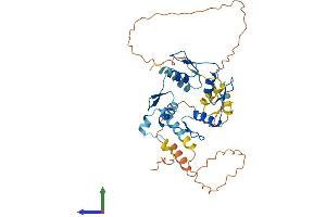 AlphaFold protein structure predicition of Human Recombinant ZNF552 Protein, UniprotID Q9H707 (ZNF552 Protein (AA 1-407) (His tag))
