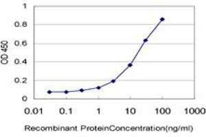 Detection limit for recombinant GST tagged HUNK is approximately 0. (HUNK antibody  (AA 615-714))