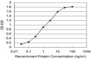 Detection limit for recombinant GST tagged SPI1 is approximately 0. (SPI1 antibody  (AA 1-120))
