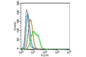 Human U937 cells probed with Integrin alpha 1 Polyclonal Antibody, Unconjugated  at 0. (Integrin alpha 1 antibody  (AA 1001-1179))