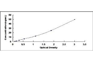 Typical standard curve (DLL1 ELISA Kit)