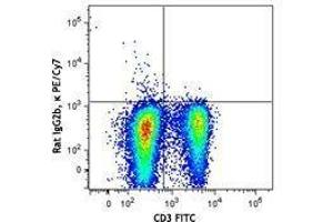 Flow Cytometry (FACS) image for anti-Interleukin 2 (IL2) antibody (PE-Cy7) (ABIN2659371) (IL-2 antibody  (PE-Cy7))