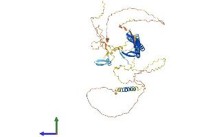 AlphaFold protein structure predicition of Human Recombinant URI1 Protein, UniprotID O94763