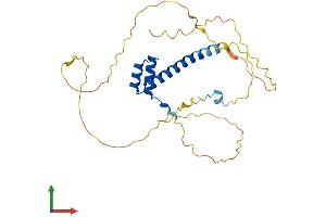 AlphaFold protein structure predicition of Human Recombinant HMX2 Protein, UniprotID A2RU54