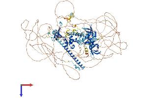AlphaFold protein structure predicition of Human Recombinant ARID4B Protein, UniprotID Q4LE39 (BRCAA1 Protein (AA 1-1312) (His tag))