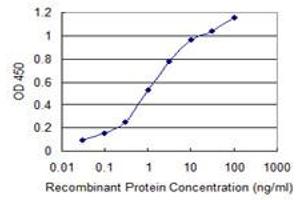 Detection limit for recombinant GST tagged USP9X is 0. (USP9X antibody  (AA 1-90))