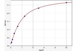 Typical standard curve (ADAM29 ELISA Kit)