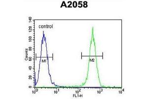 COL17A1 Antibody (Center) flow cytometric analysis of A2058 cells (right histogram) compared to a negative control cell (left histogram). (COL17A1 antibody  (Chain alpha 1, Middle Region))