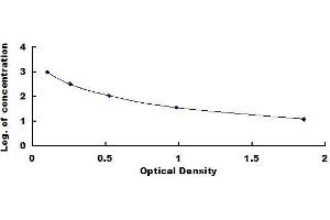 Typical standard curve (CCK18 ELISA Kit)