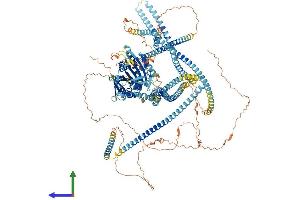 AlphaFold protein structure predicition of Mouse Recombinant Kif7 Protein, UniprotID B7ZNG0 (KIF7 Protein (AA 1-1348) (His tag))