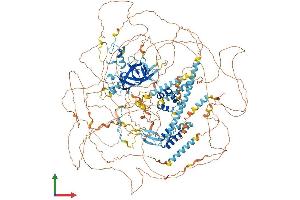 AlphaFold protein structure predicition of Mouse Recombinant Rere Protein, UniprotID Q80TZ9