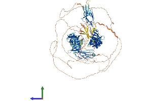AlphaFold protein structure predicition of Mouse Recombinant Fndc3c1 Protein, UniprotID Q6DFV6 (Fndc3c1 Protein (AA 1-1356) (His tag))
