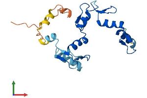 Protein Structure (PS) image for Zinc Finger Protein 876, Pseudogene (ZNF876P) (AA 1-203) protein (His tag) (ABIN7545520)
