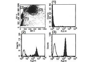 Flow Cytometry (FACS) image for anti-Bone Marrow Stromal Cell Antigen 1 (BST1) antibody (PE) (ABIN1105913) (BST1 antibody  (PE))