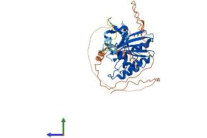 Protein Structure (PS) image for Apolipoprotein B mRNA Editing Enzyme, Catalytic Polypeptide-Like 4 (Putative) (APOBEC4) (AA 1-374) protein (His tag) (ABIN7557368)