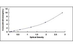 Typical standard curve (ABCC1 ELISA Kit)