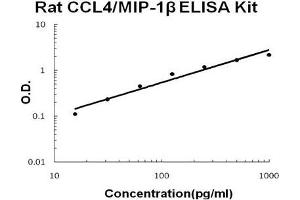 Rat CCL4/MIP-1 beta PicoKine ELISA Kit standard curve (CCL4 ELISA Kit)