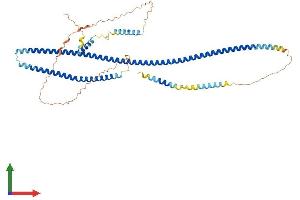 AlphaFold protein structure predicition of Mouse Recombinant Traf3ip3 Protein, UniprotID Q8C0G2 (TRAF3IP3 Protein (AA 1-513) (His tag))