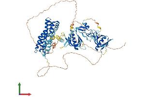 Protein Structure (PS) image for FYVE, RhoGEF and PH Domain Containing 4 (FGD4) (AA 1-766) protein (His tag) (ABIN7564837)