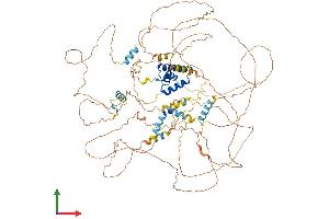 Protein Structure (PS) image for Bobby Sox Homolog (BBX) (AA 1-907) protein (His tag) (ABIN7559785)
