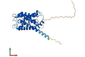AlphaFold protein structure predicition of Human Recombinant AQP6 Protein, UniprotID Q13520 (AQP6 Protein (AA 1-282) (His tag))