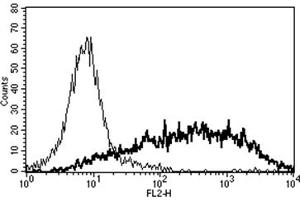 Flow Cytometry (FACS) image for anti-Interleukin 2 Receptor, alpha (IL2RA) antibody (Biotin) (ABIN1106144) (CD25 antibody  (Biotin))