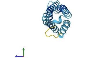 AlphaFold protein structure predicition of Mouse Recombinant Cnih1 Protein, UniprotID O35372