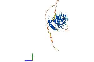 Protein Structure (PS) image for Excision Repair Cross Complementing Polypeptide-1 (ERCC1) (AA 1-298) protein (His tag) (ABIN7562756)