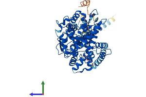 Protein Structure (PS) image for Cytochrome P450, Family 26, Subfamily B, Polypeptide 1 (CYP26B1) (AA 1-512) protein (His tag) (ABIN7564320)