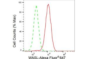 Flow cytometric analysis of WASL expression in HAP-1 cells using WASL antibody (ABIN7799576), 1:2,000). (Recombinant Neural Wiskott-Aldrich syndrome protein (WASL) antibody)