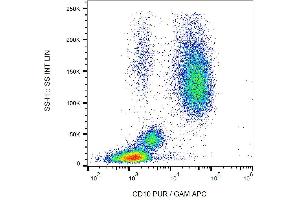 Surface staining of human peripheral blood cells with anti-CD10 (LT10) PE. (MME antibody  (PE))