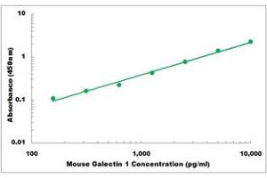 Representative Standard Curve (LGALS1/Galectin 1 ELISA Kit)