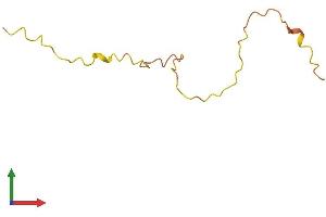 AlphaFold protein structure predicition of Human Recombinant KRTAP19-3 Protein, UniprotID Q7Z4W3