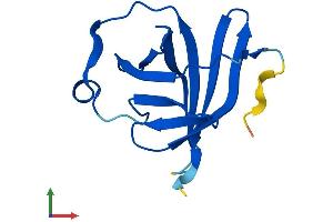 Protein Structure (PS) image for T-Cell Leukemia/lymphoma 1A (TCL1A) (AA 1-114) protein (His tag) (ABIN7544392)