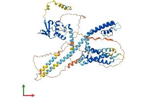 AlphaFold protein structure predicition of Mouse Recombinant Kcnd3 Protein, UniprotID Q9Z0V1 (KCND3 Protein (AA 1-655) (His tag))
