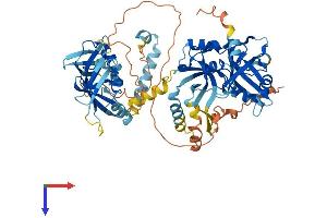 AlphaFold protein structure predicition of Mouse Recombinant Fam111a Protein, UniprotID Q9D2L9