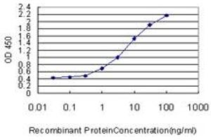 Detection limit for recombinant GST tagged MUC7 is approximately 0. (MUC7 antibody  (AA 36-135))