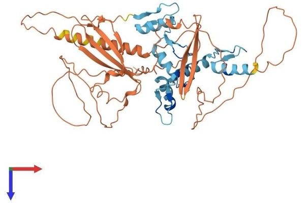 ZNF410 Protein (AA 1-478) (His tag)
