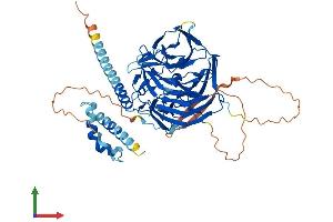 AlphaFold protein structure predicition of Mouse Recombinant Klhdc4 Protein, UniprotID Q921I2 (KLHDC4 Protein (AA 1-584) (His tag))