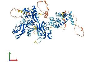 AlphaFold protein structure predicition of Mouse Recombinant Capn3 Protein, UniprotID Q64691