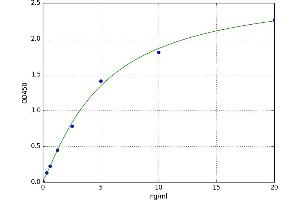Arachidonate Lipoxygenase 3 (ALOXE3) ELISA Kit