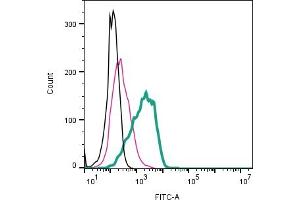 Cell surface detection of TRPV2 by direct flow cytometry in live intact human  megakaryoblastic leukemia cells: + Rabbit IgG Isotype Control-FITC (ABIN7582044).