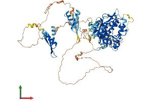 Protein Structure (PS) image for Adenosine Deaminase, RNA-Specific, B2 (ADARB2) (AA 1-745) protein (His tag) (ABIN7561529)