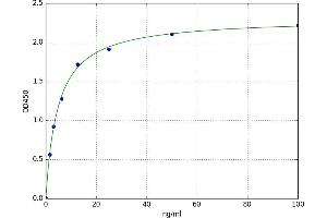 Neural Cell Adhesion Molecule 1 (NCAM1) ELISA Kit