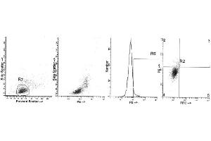 Image no. 1 for anti-Interleukin 4 (IL4) antibody (PE) (ABIN1107850) (IL-4 antibody  (PE))
